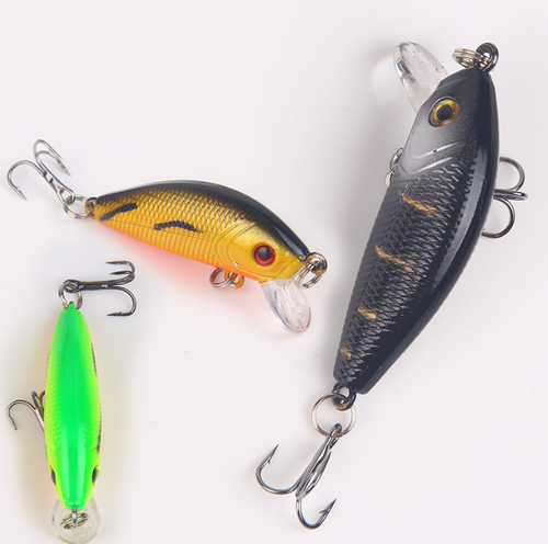 Hard Carp Fishing Bait