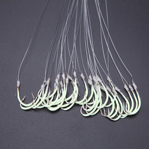 Luminous Fishing Hook
