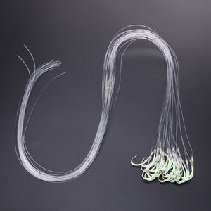 Luminous Fishing Hook