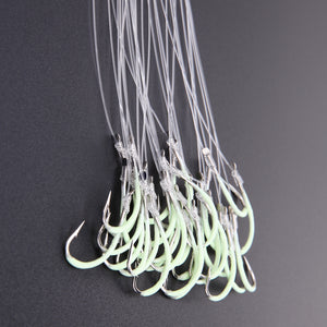 Luminous Fishing Hook