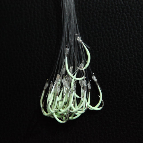 Luminous Fishing Hook