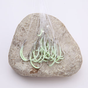 Luminous Fishing Hook