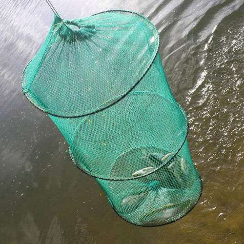 Shrimp Mesh Cage