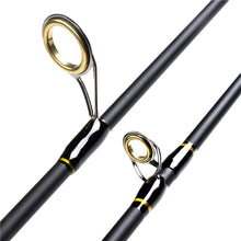 Load image into Gallery viewer, Carbon Fiber Hard Lure Rod