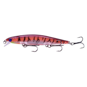 Minnow Fishing Lure