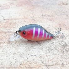 Load image into Gallery viewer, Fish Wobbler Tackle Crank bait
