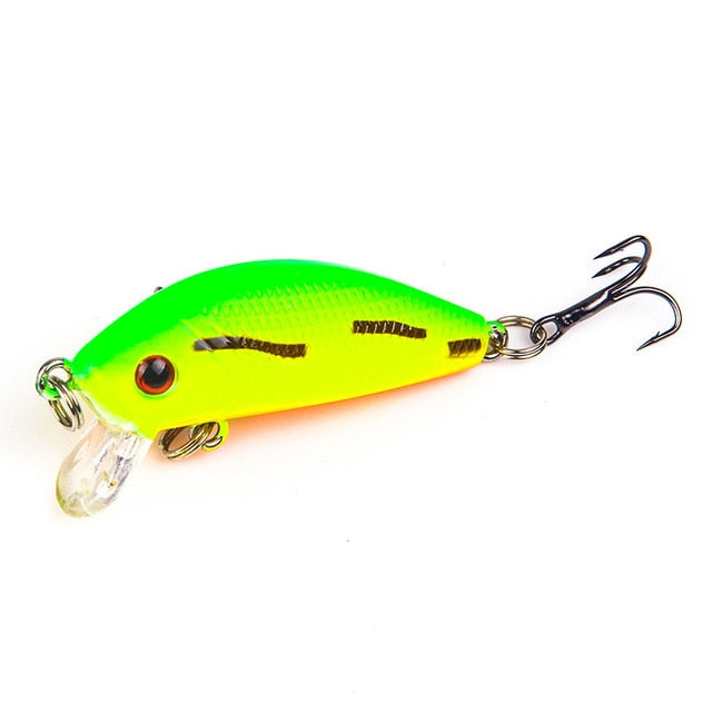 Hard Carp Fishing Bait