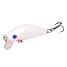 Load image into Gallery viewer, Hard Carp Fishing Bait