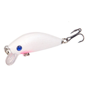 Hard Carp Fishing Bait