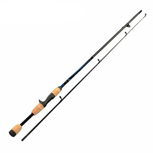 Spinning Fishing Rod